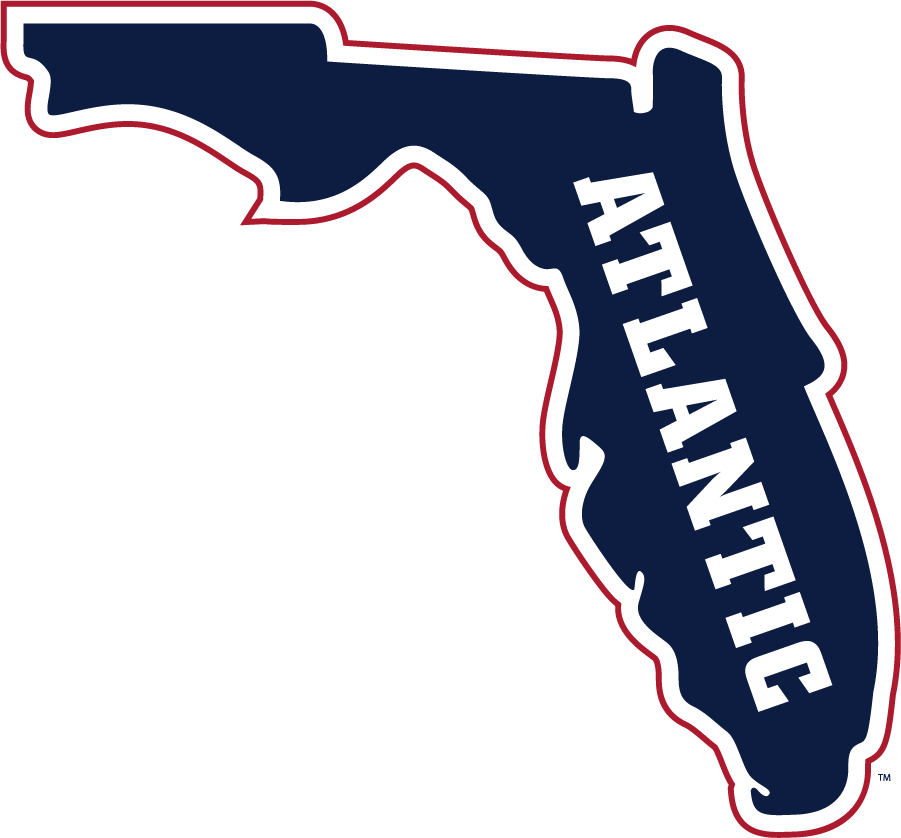 Florida Atlantic Owls 2015-Pres Secondary Logo DIY iron on transfer (heat transfer)